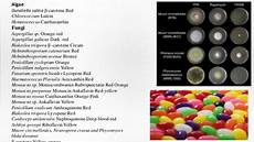 Bond Confectionery