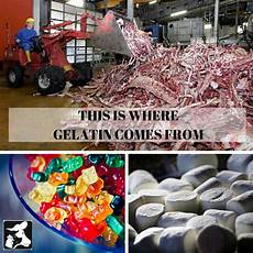 Candy Gelatin