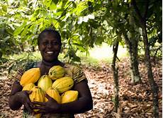 Cocoa Tree Confectionery