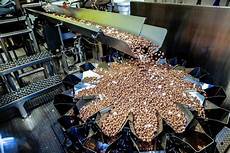 Confectionery Plants