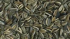 Sunflower Confectionery